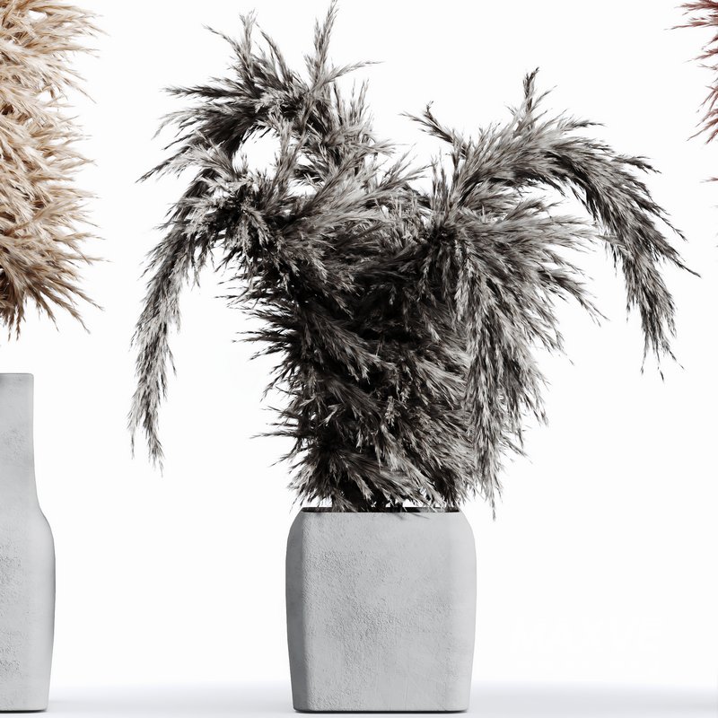 HQ HousePlants Decorative Stoilan Pampas Dried Branches Pampy04 - Image 1