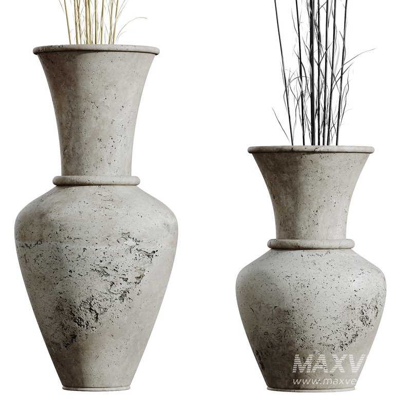 HQ HousePlants Decorative Stoilan Pampas Dried Branches Pampy05 - Image 4