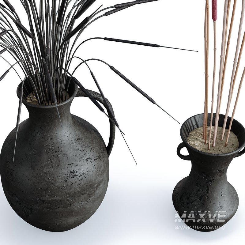 HQ HousePlants Decorative Stoilan Pampas Dried Branches Pampy - Image 2