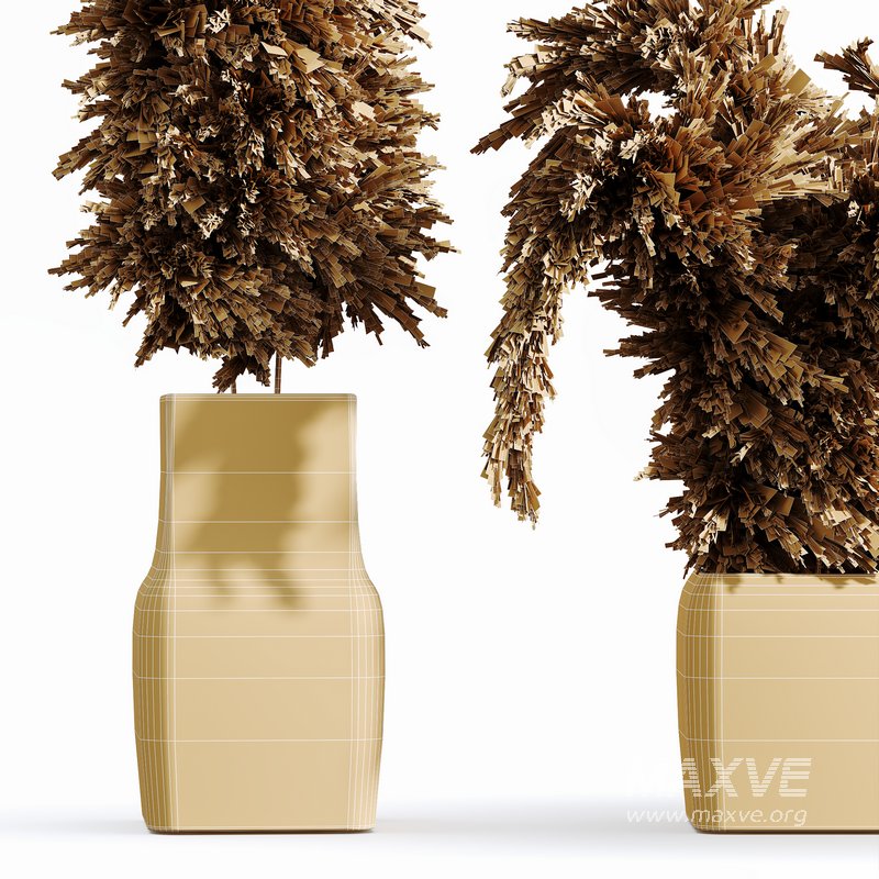 HQ HousePlants Decorative Stoilan Pampas Dried Branches Pampy04 - Image 2