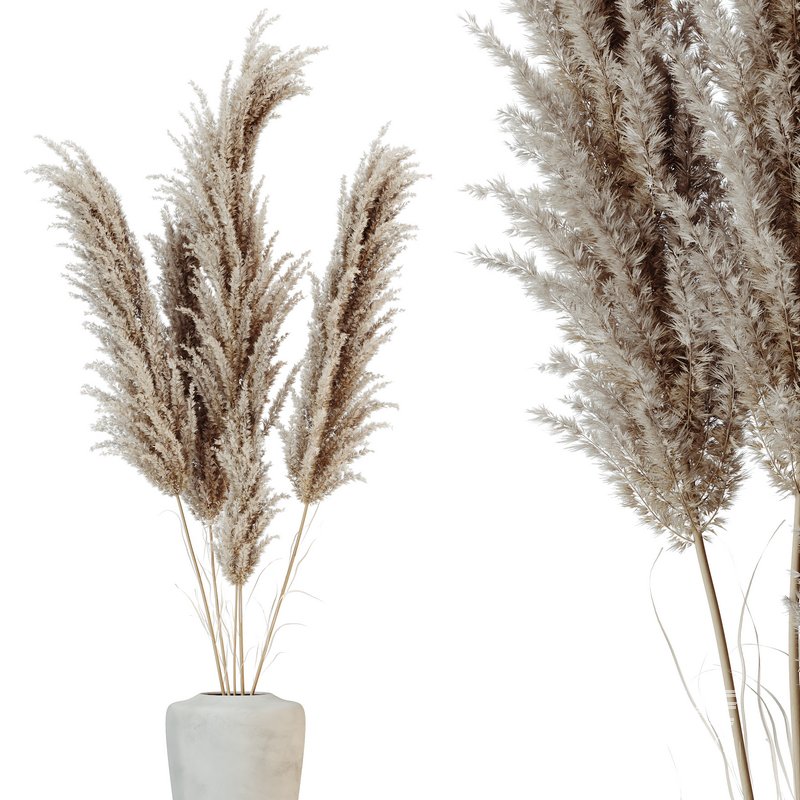 HQ HousePlants Decorative Miscanthus Pampas Dried Branches Pampy - Image 3