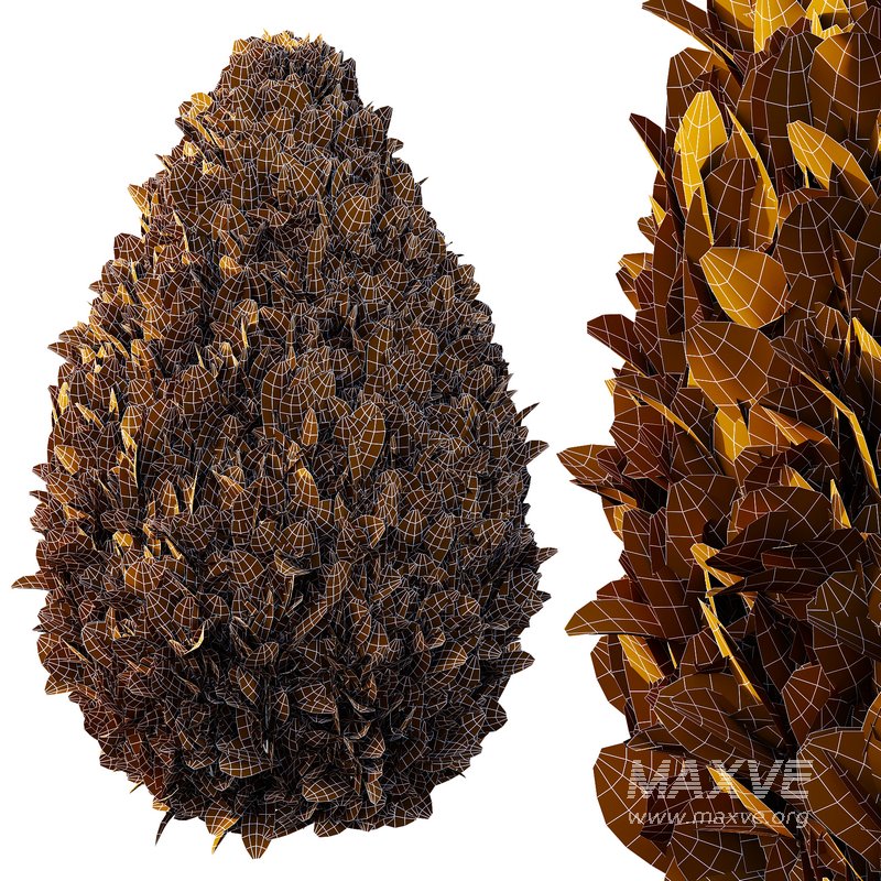 Italian Cypress Tree 33 - Image 3