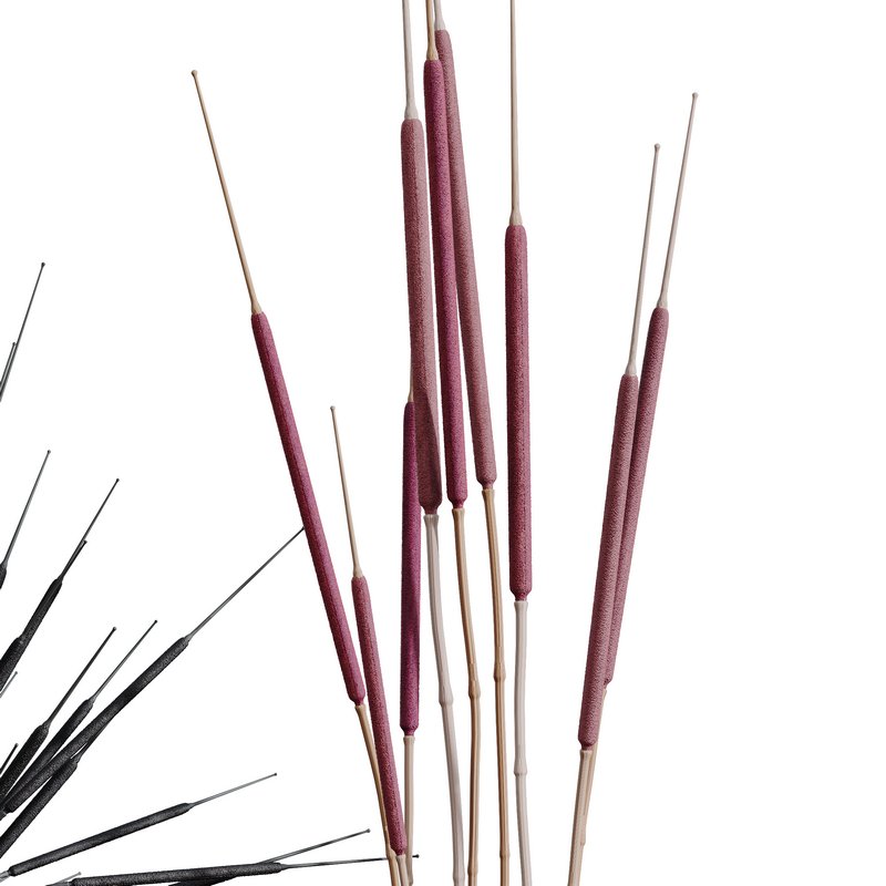 HQ HousePlants Decorative Stoilan Pampas Dried Branches Pampy - Image 4