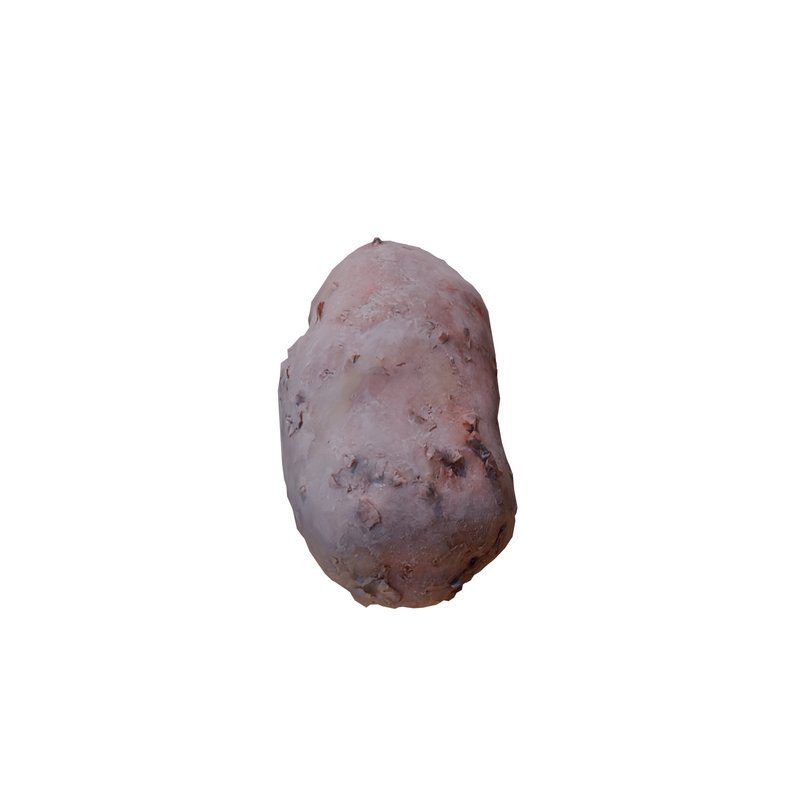 Potato - Image 4