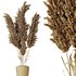 HQ HousePlants Decorative Miscanthus Pampas Dried Branches Pampy - Thumbnail 4