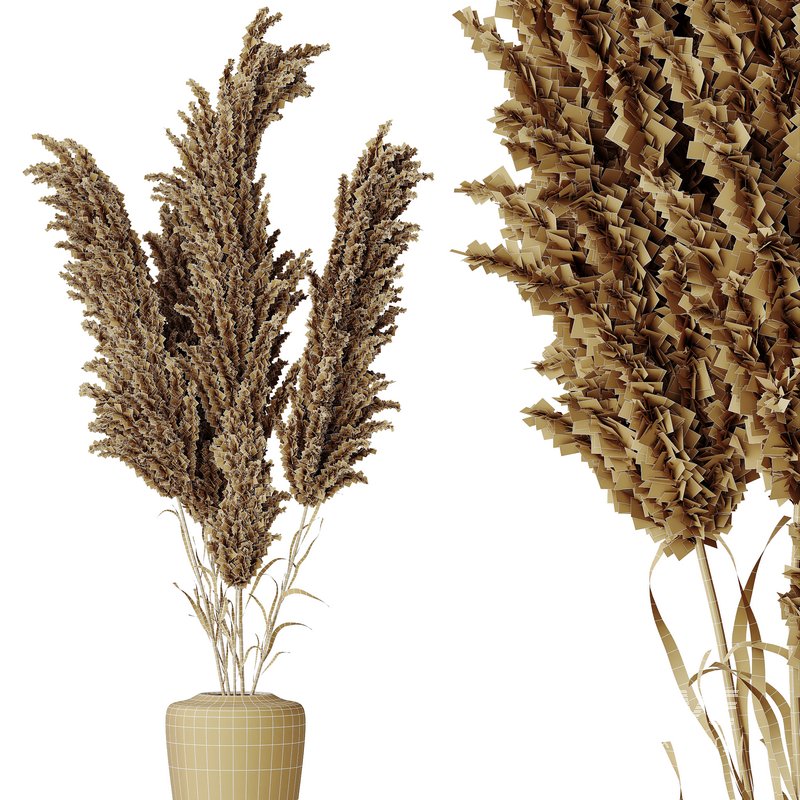 HQ HousePlants Decorative Miscanthus Pampas Dried Branches Pampy - Image 4