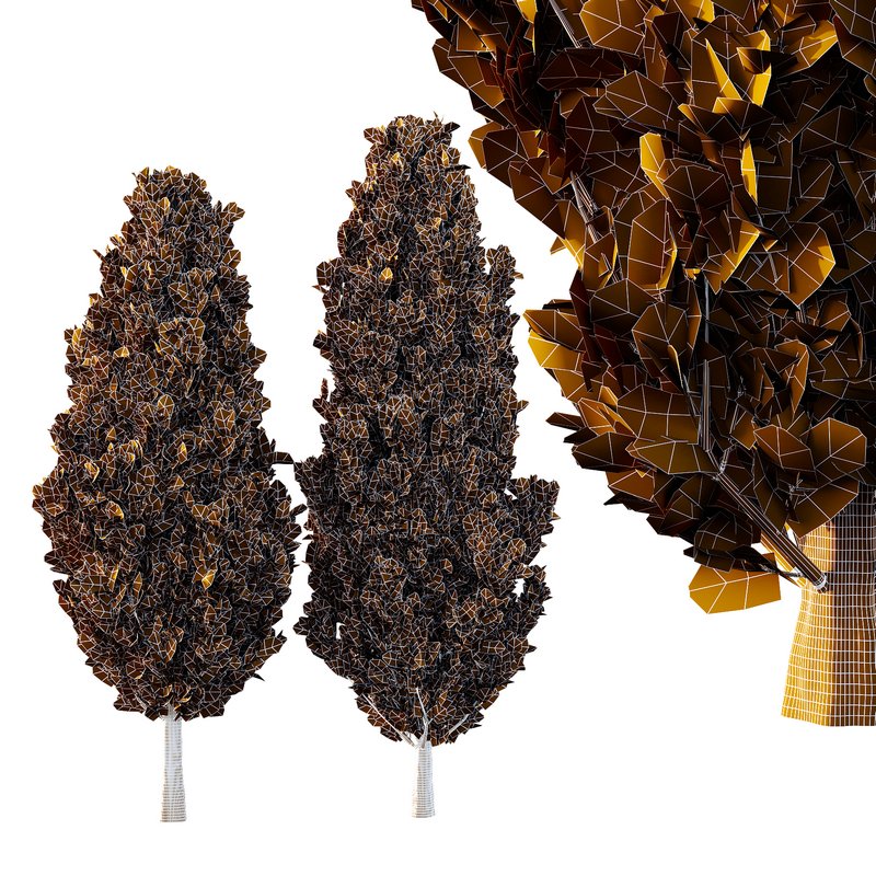 Italian Cypress Tree 30 - Image 2