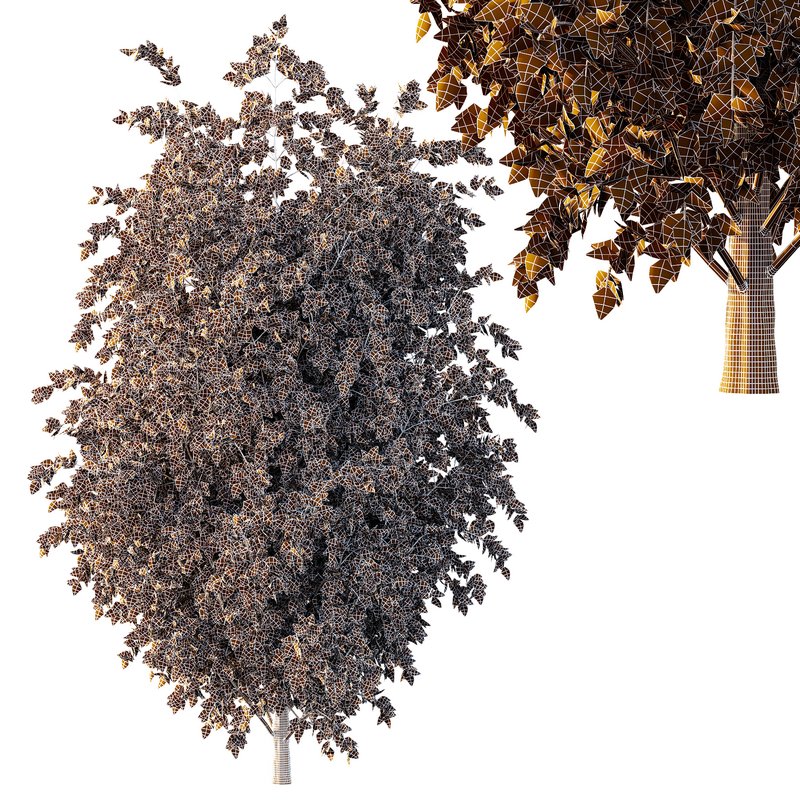 beautiful tree02 - Image 3