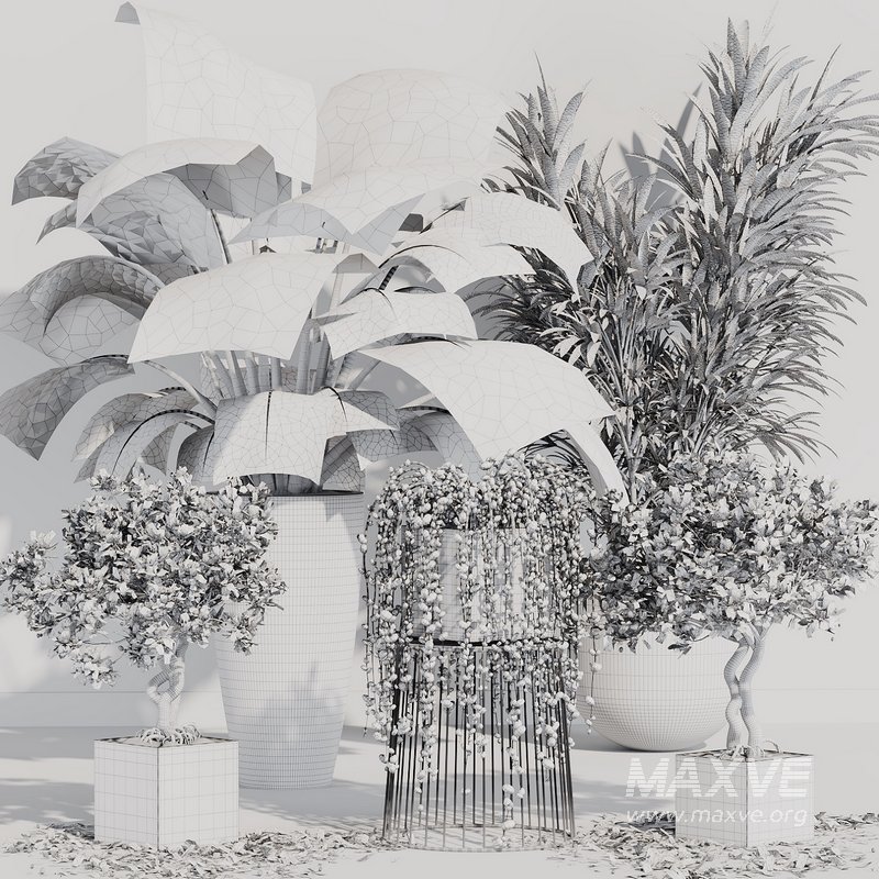 INDOOR PLANT SET 07 - Image 4