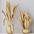 HQ HousePlants Ravenala Banana Strelitzia Nicolai Bird Of Paradise Set06 - Thumbnail 5