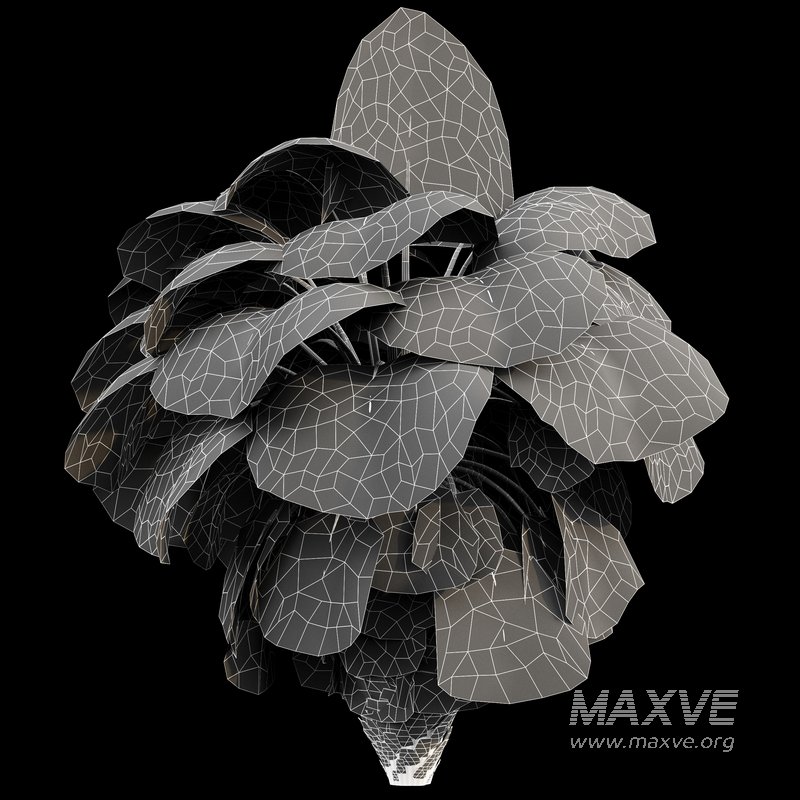 Mexican Fan Palm Washingtonia Robusta 9 trees - Image 4