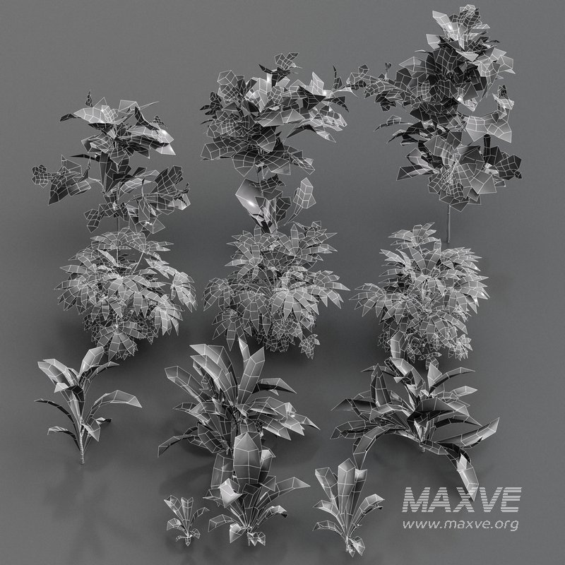 Meadow Lawn Grassland Set 004 - Image 5