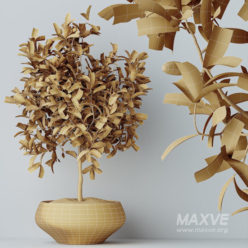 HQ HousePlants Briful Pachira Aquatica Grand Artificiel - Image 4