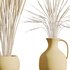 HQ HousePlants Decorative Stoilan Pampas Dried Branches Pampy - Thumbnail 5
