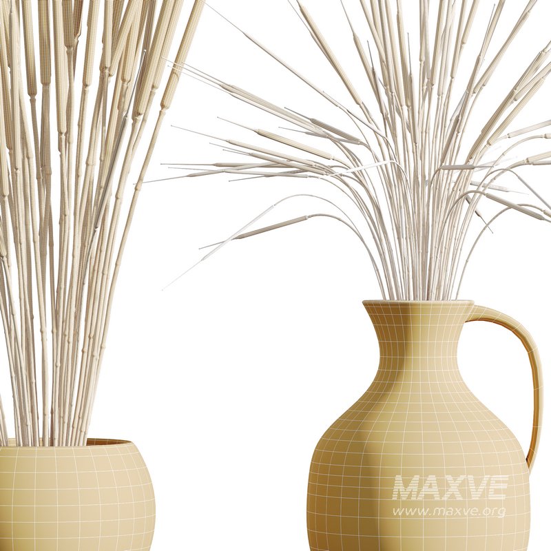 HQ HousePlants Decorative Stoilan Pampas Dried Branches Pampy - Image 5