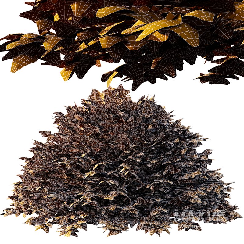 Cypress Bush 02 - Image 5