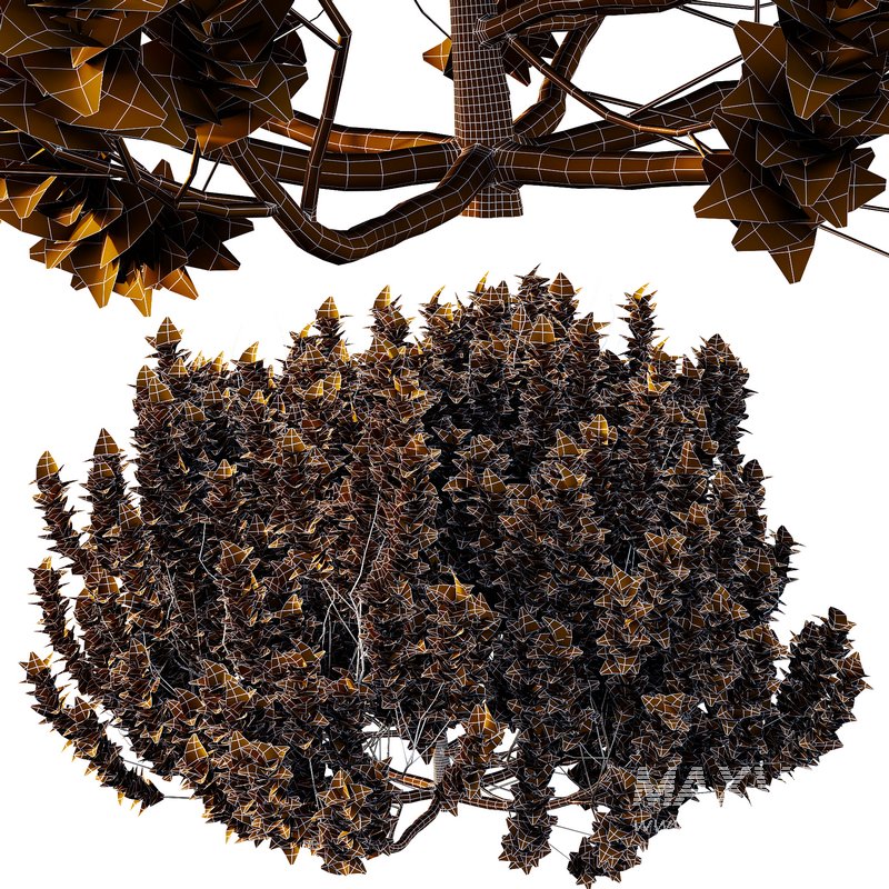 Cypress Bush 08 - Image 6