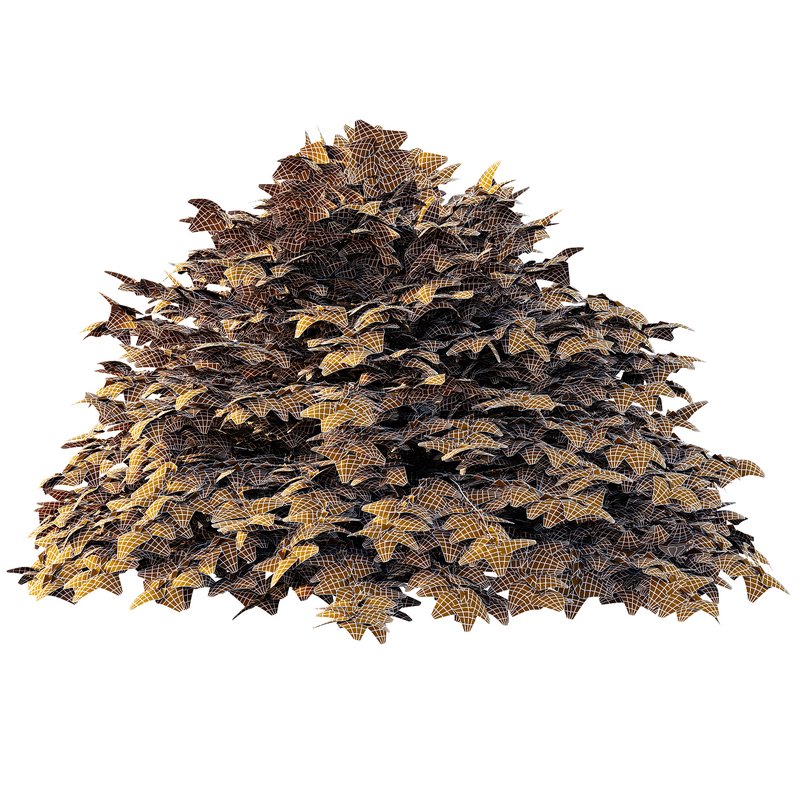 Cypress Bush 01 - Image 6