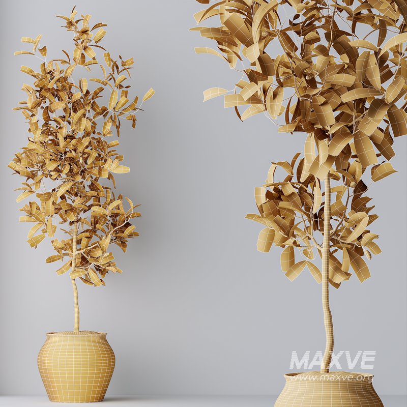 HQ HousePlants Briful Pachira Aquatica Grand Artificiel Set02 - Image 4