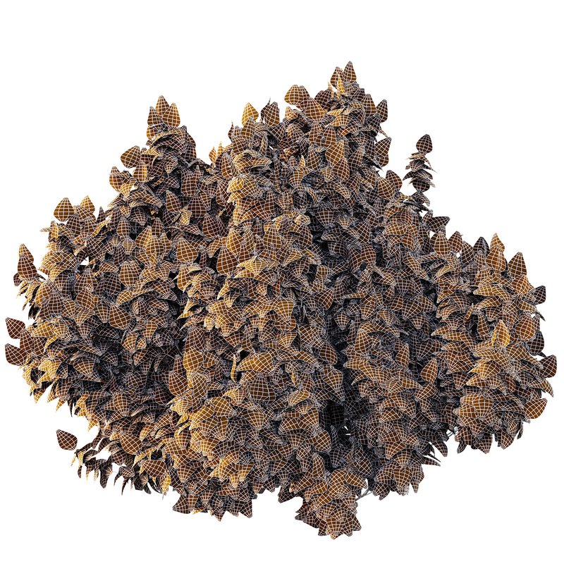 Cypress Bush 07 - Image 7