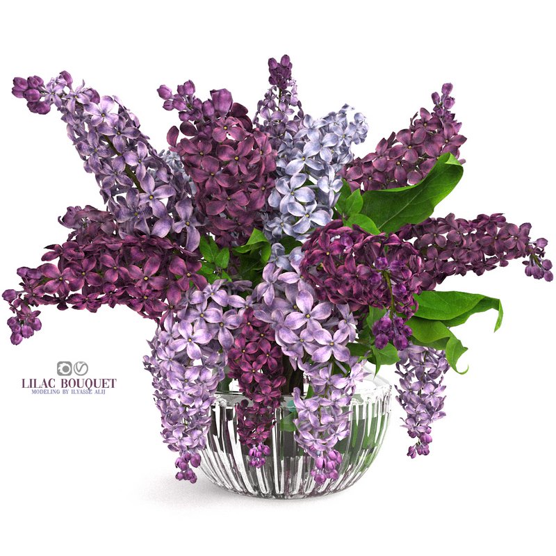 lilac bouquet - Image 2