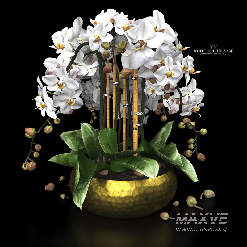white orchid vase - Image 1