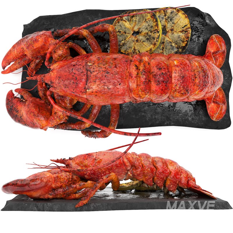 lobster set - Image 2