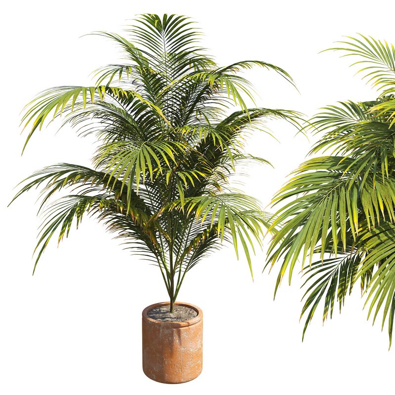 Outdoor Plant 01 - Image 1