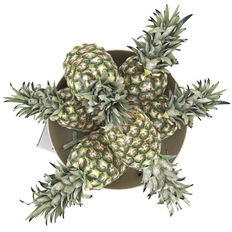 bowl of pineapples - Image 2