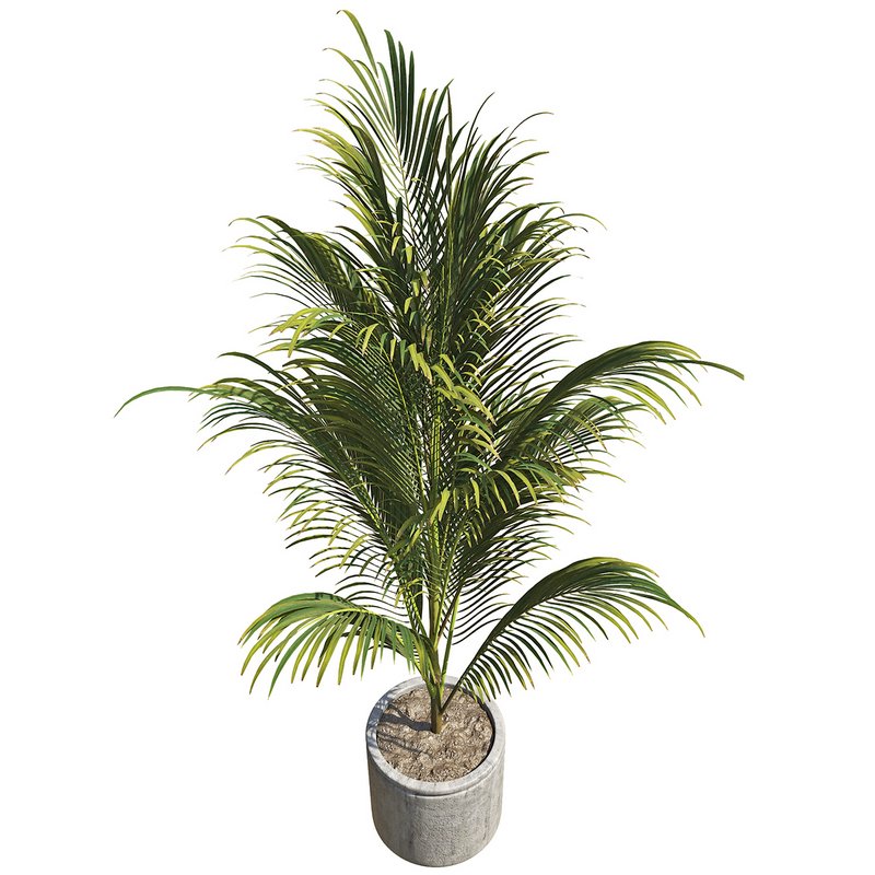 OutDoor Plant 02 - Image 2