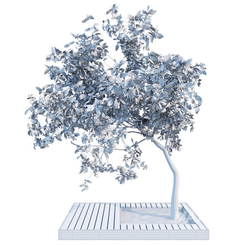 Outdoor Plant 04 - Image 3