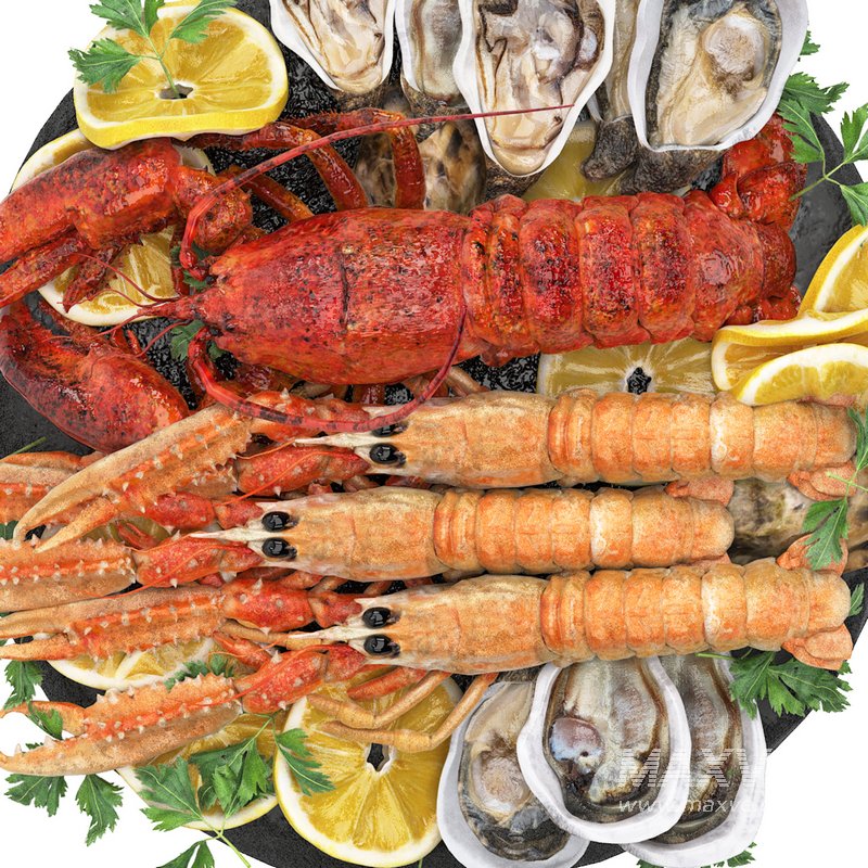 seafood platter of langoustine lobster and oyster - Image 5