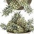 bowl of pineapples - Thumbnail 4