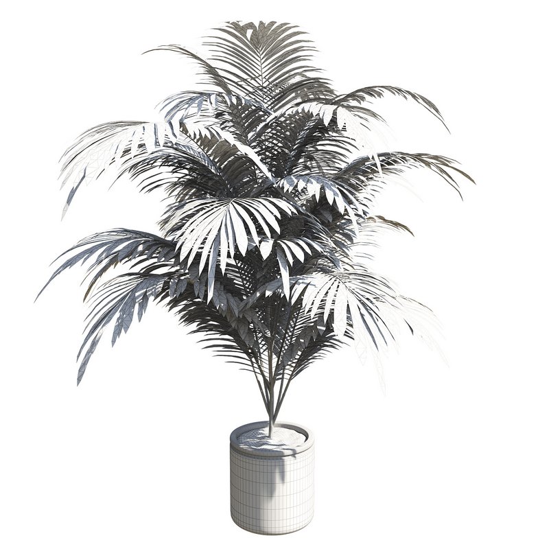 Outdoor Plant 01 - Image 3