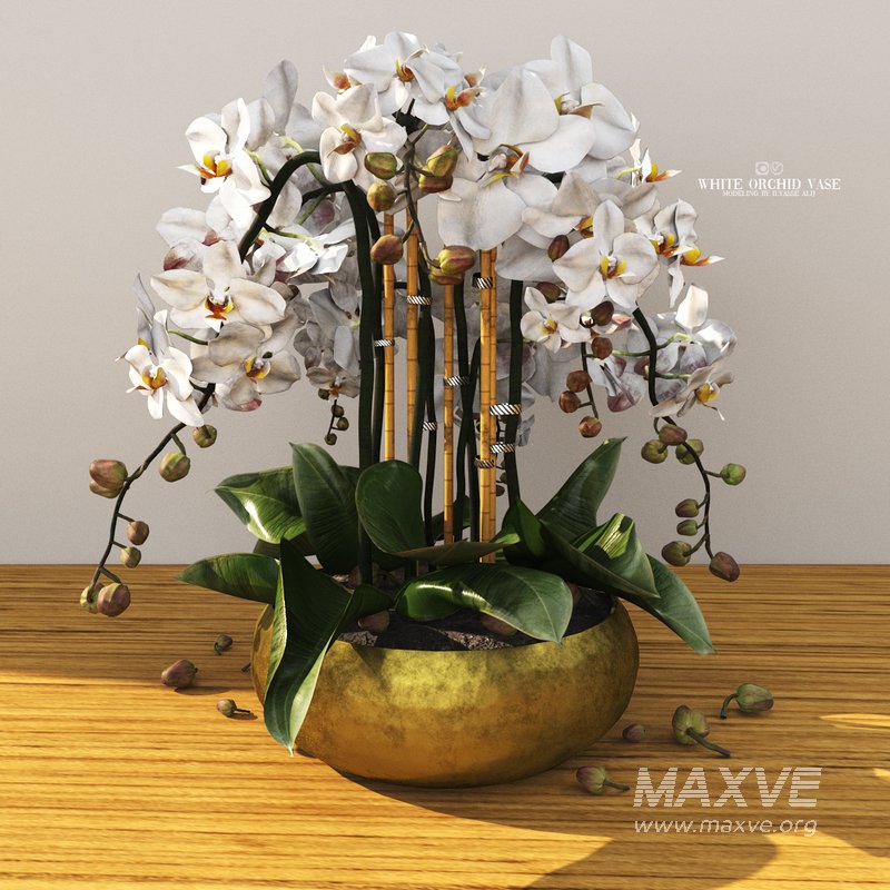white orchid vase - Image 2