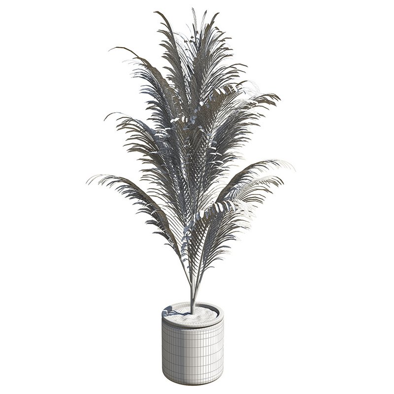 OutDoor Plant 02 - Image 3