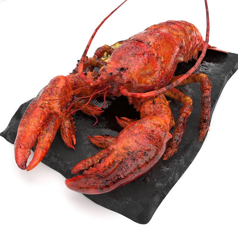 lobster set - Image 4