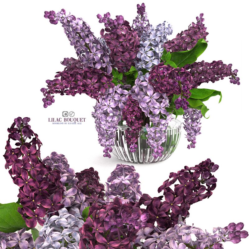 lilac bouquet - Image 4