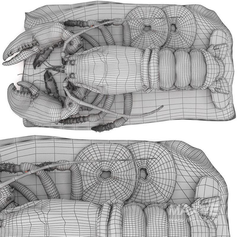 lobster set - Image 3