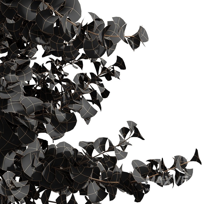 spring trees Maidenhair Ginkgo Biloba and Mediterranean Cypress - Image 9