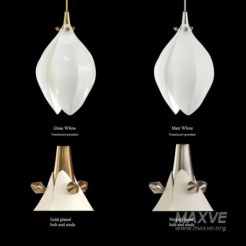 BLOOM LARGE CIRCLE 100 - Image 2