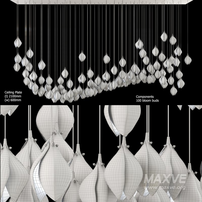 BLOOM LARGE CIRCLE 100 - Image 3