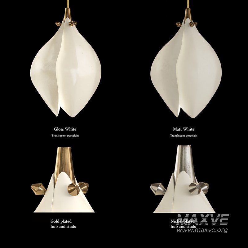 BLOOM SMALL CIRCLE 9 - Image 3