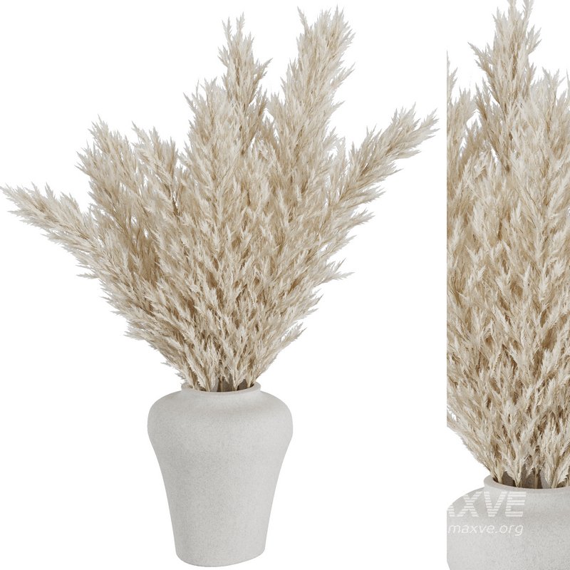 Pampas vase set49 - Image 1