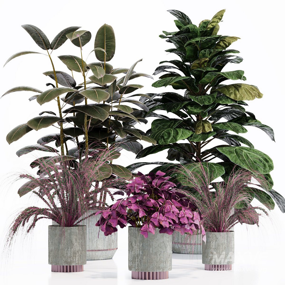 INDOOR PLANT SET 05 - Image 1