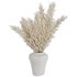Pampas vase set49 - Thumbnail 2