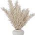 Pampas vase set49 - Thumbnail 5