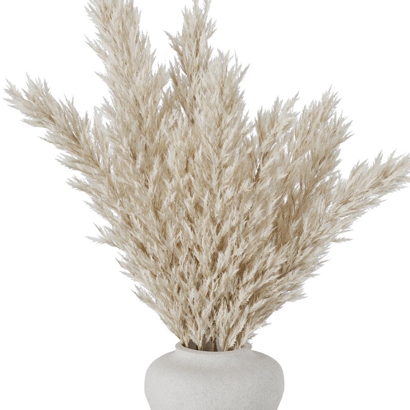 Pampas vase set49 - Image 5