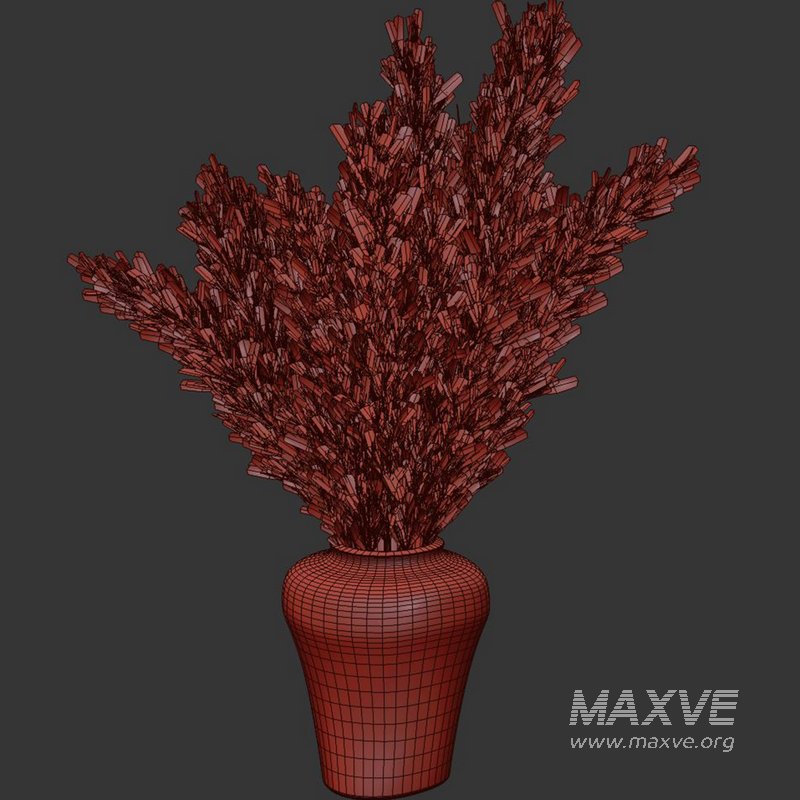 Pampas vase set49 - Image 4