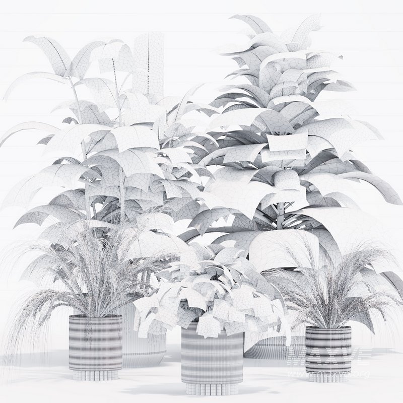 INDOOR PLANT SET 05 - Image 4